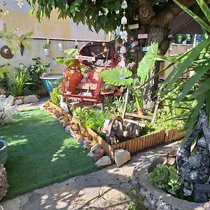 Site Paradis Rue Colibri Avignone